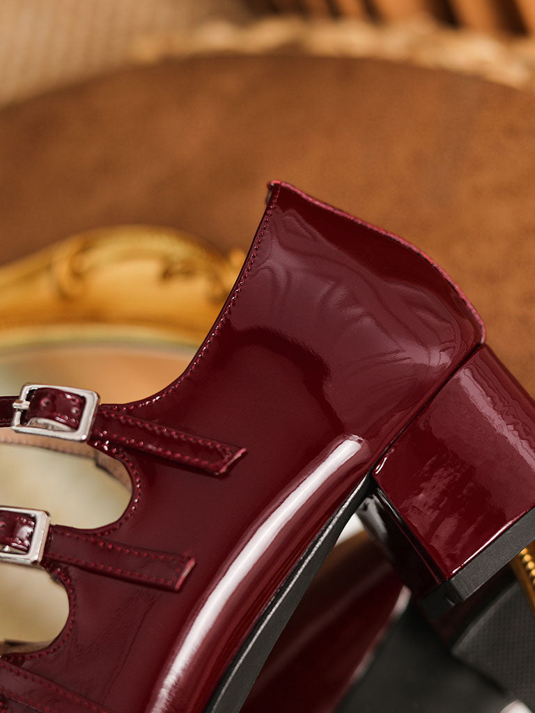Chunky Heel Mary Jane Square Toe Leather Vintage Shoes