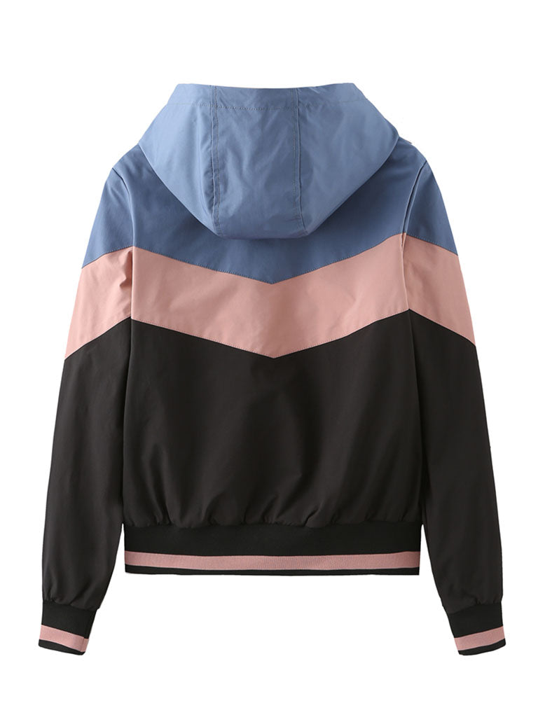 Jacket Street Daily Fall Winter Casual Color Block Stand Collar Jacket