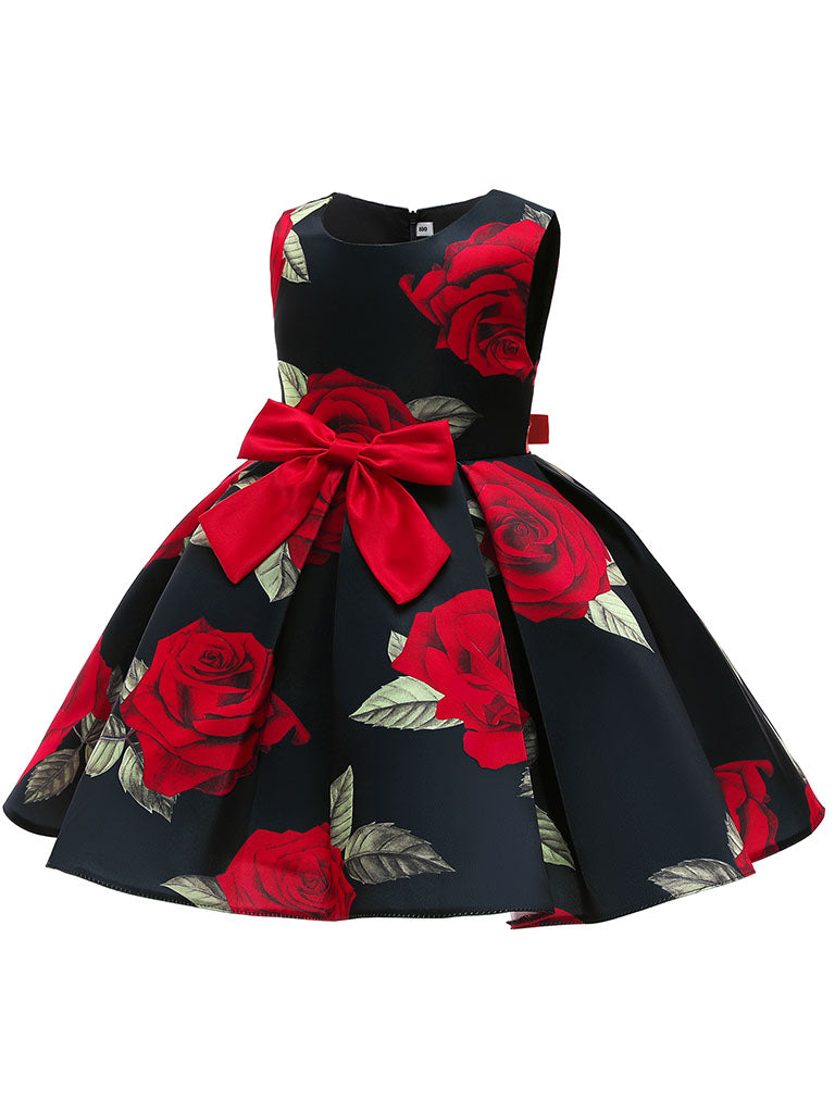 Kids Little Girls' Dress Princess Rose Sleeveless Birthday Christening Dress