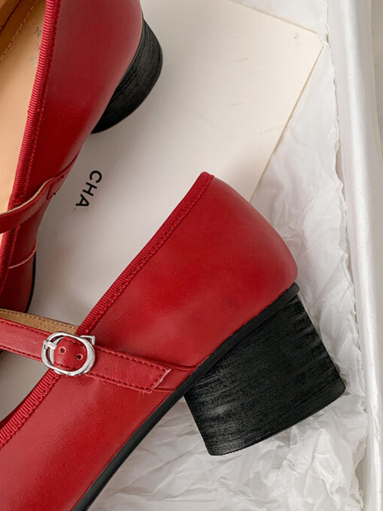 Chunky Heels Square Toe Rose Vintage Ballerina Shoes