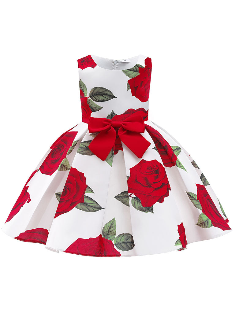 Kids Little Girls' Dress Princess Rose Sleeveless Birthday Christening Dress