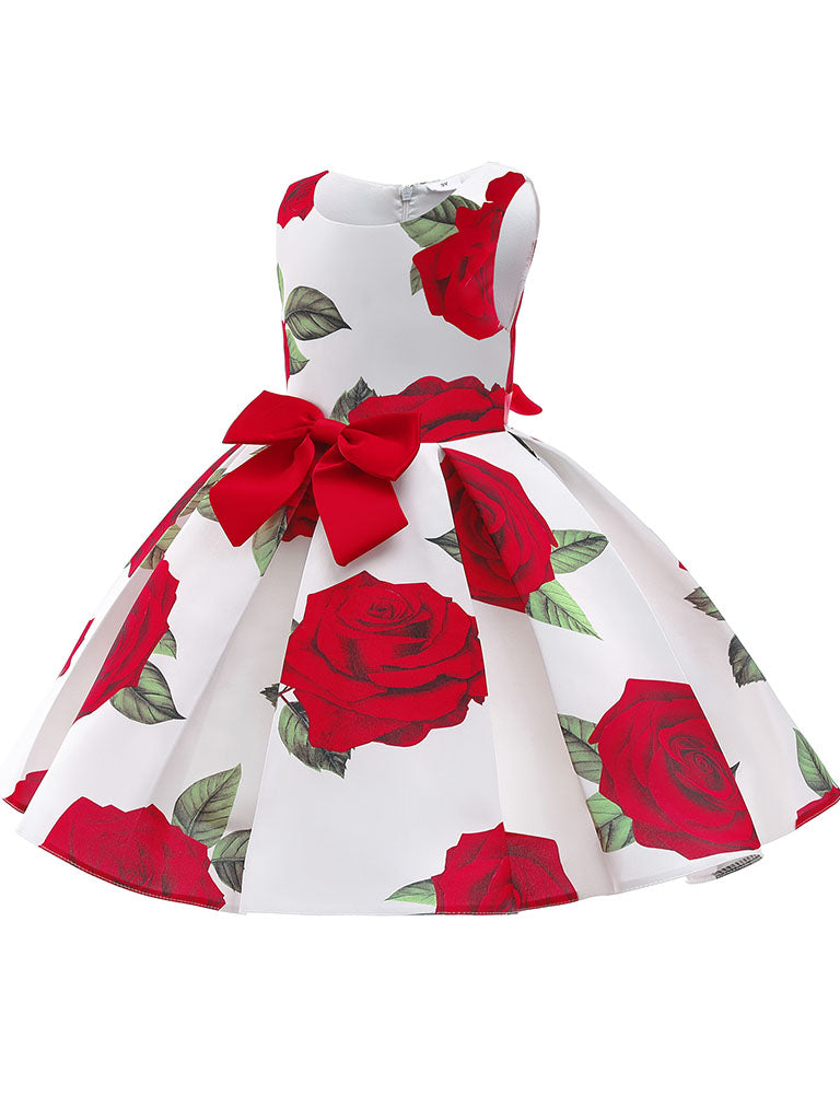 Kids Little Girls' Dress Princess Rose Sleeveless Birthday Christening Dress
