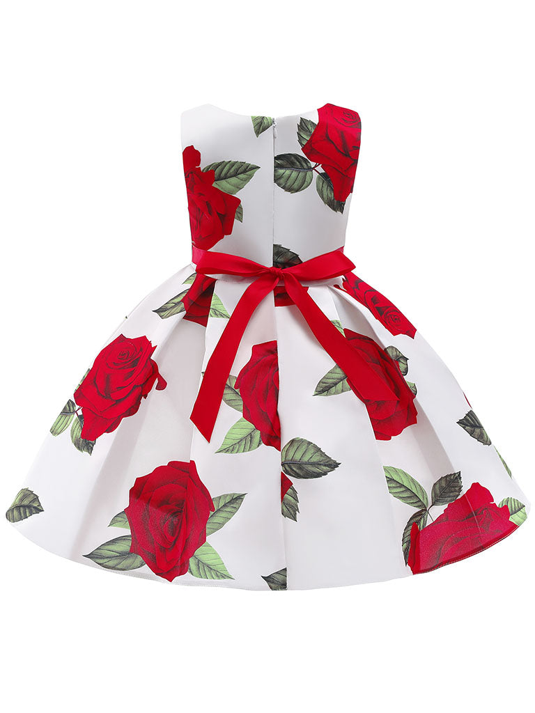 Kids Little Girls' Dress Princess Rose Sleeveless Birthday Christening Dress