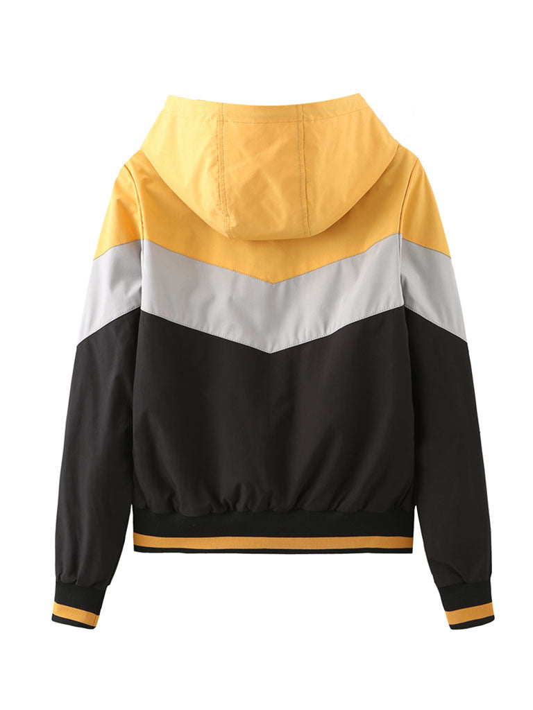 Jacket Street Daily Fall Winter Casual Color Block Stand Collar Jacket